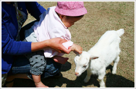 移動ふれあい動物園 おとぎの国メルヘン
