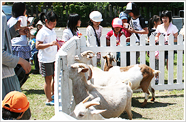 移動ふれあい動物園 おとぎの国メルヘン