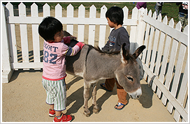 移動ふれあい動物園 おとぎの国メルヘン