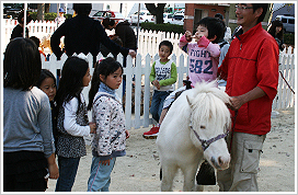 移動ふれあい動物園 おとぎの国メルヘン